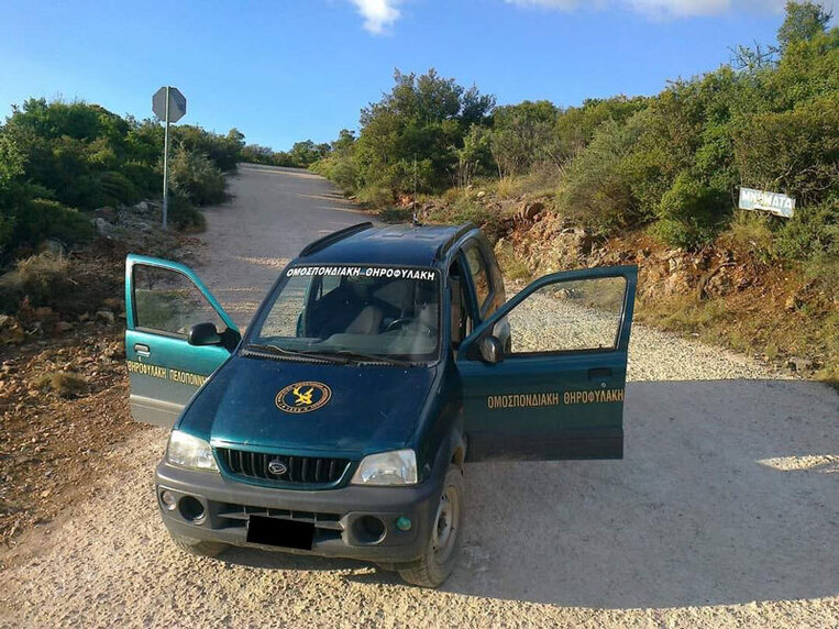 Κατάσχεση όπλων και βαρύ πρόστιμο για παράνομη θήρα λαγού