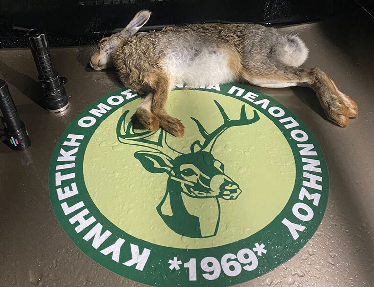 Πιάστηκαν με τον λαγό στα χέρια – Σύλληψη δύο ατόμων για νυχτερινή λαθροθηρία στα Καλάβρυτα