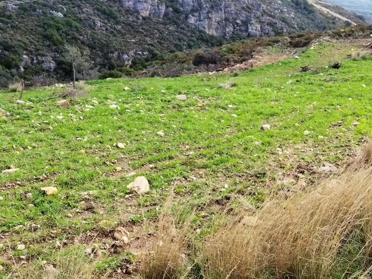 Βελτίωση βιοτόπων από τον Κυνηγετικό Σύλλογο Μολάων