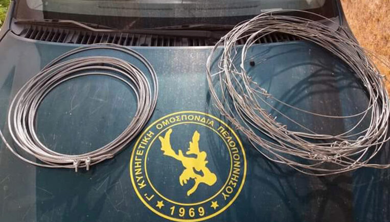 Παράνομη θήρα αγριόχοιρου με θηλιές στη Μεσσηνία – Σύλληψη από τον Ομοσπονδιακό Θηροφύλακα