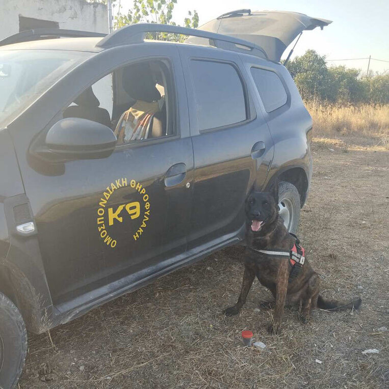 Εντοπισμός δηλητηριασμένων δολωμάτων στο Δήμο Μιδέας