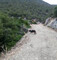 Ανεύρεση δηλητηριασμένων δολωμάτων με την συνδρομή της Α΄Κ.Ο.Κ.Δ.