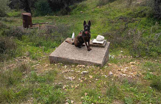 Άμεση επέμβαση της Θηροφυλακής της Γ’ Κ.Ο.Π. στο Λυγουριό Επιδαύρου