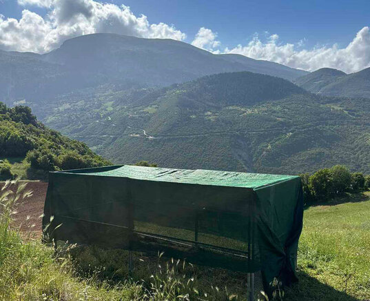 Απελευθέρωση 50 ορεινών περδίκων από τον Κυνηγετικό Σύλλογο Καμάρων